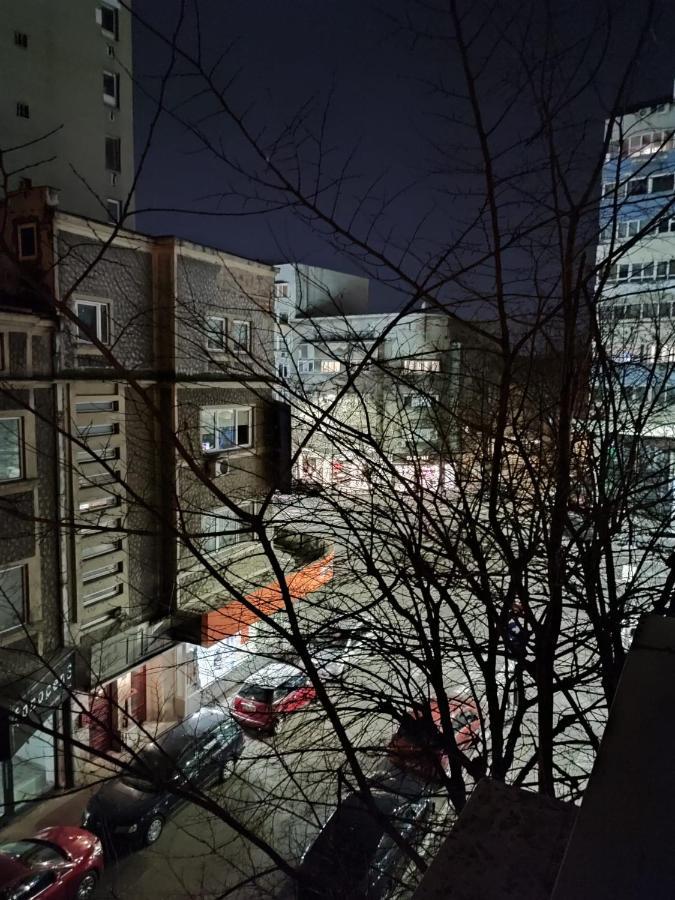 Dorobanti Apartment 布加勒斯特 外观 照片
